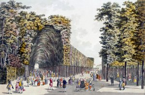 Limegrove Walk, Augarten, Bécs, 1790-es évek